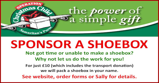 Shoebox 22