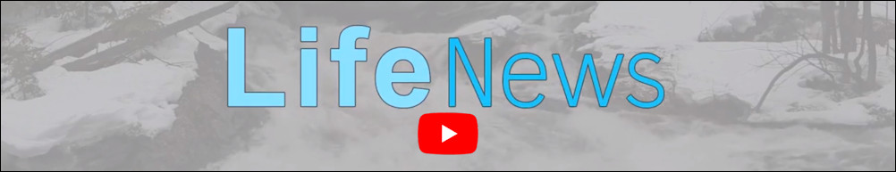 Life News